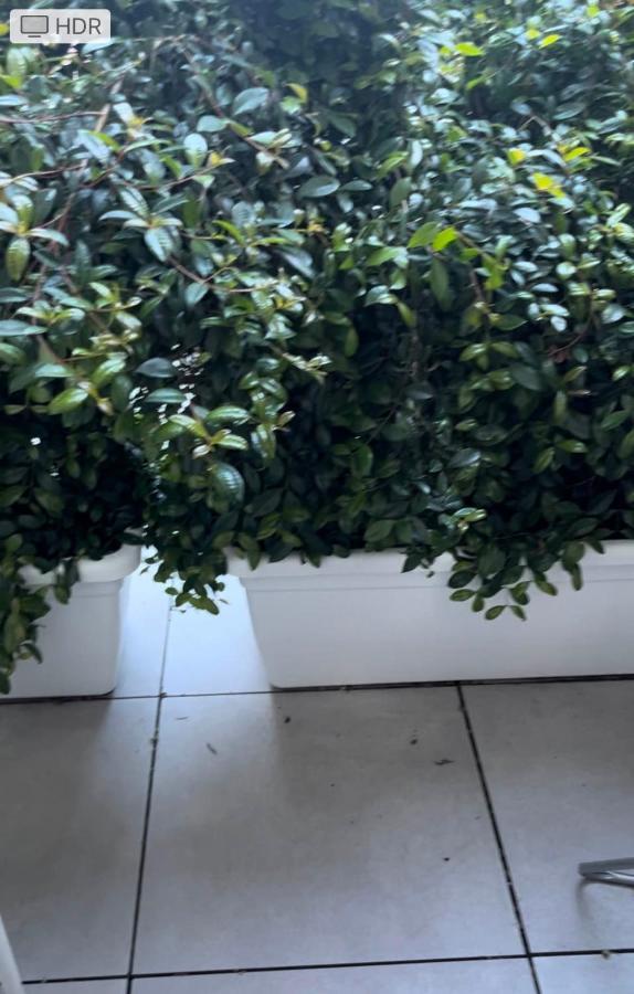 Loft Mono 3 Lägenhet Cagliari Exteriör bild